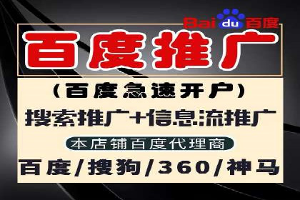 百度竞价，网络创业者的赚钱利器——案例解析